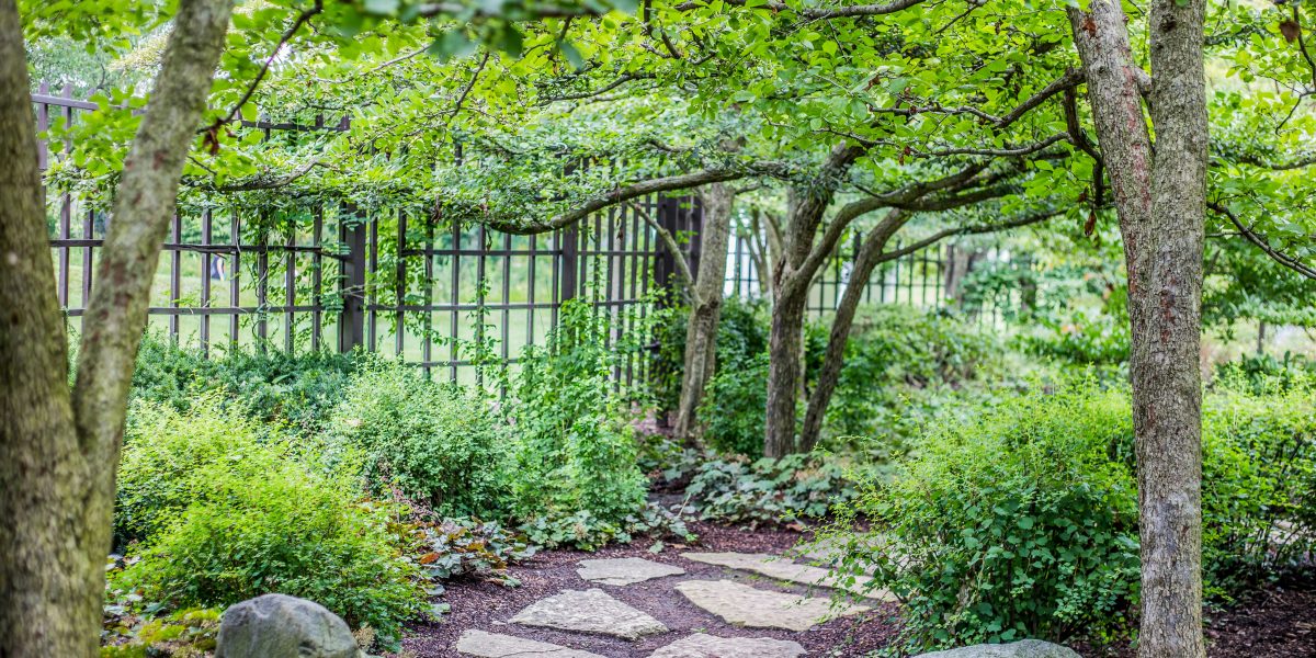 Steinarbeiten, Natursteine, Pflastersteine