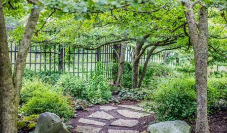 Steinarbeiten, Natursteine, Pflastersteine