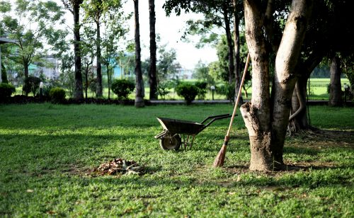 Grünflächen, Landschaftspflege