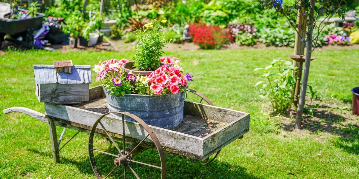 Gartenbau und Landschaften