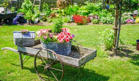 Gartenbau und Landschaften